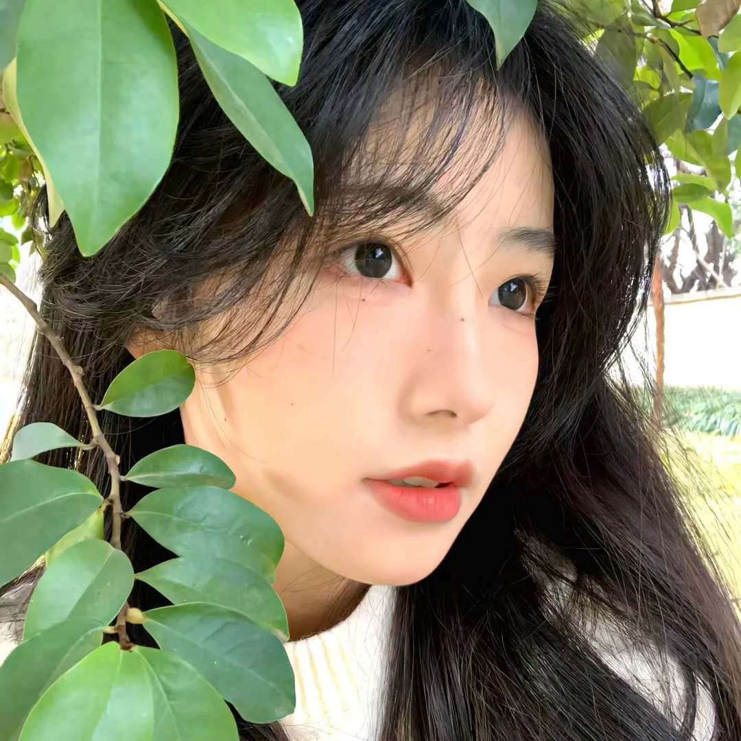 闪电狗